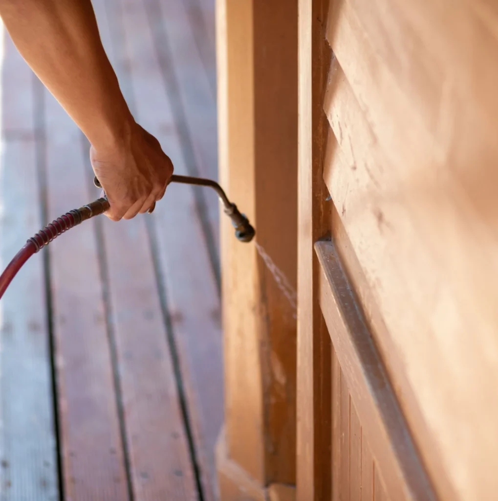 Trusted Pest Control - Corona Pest Control Pros | Corona, NY
